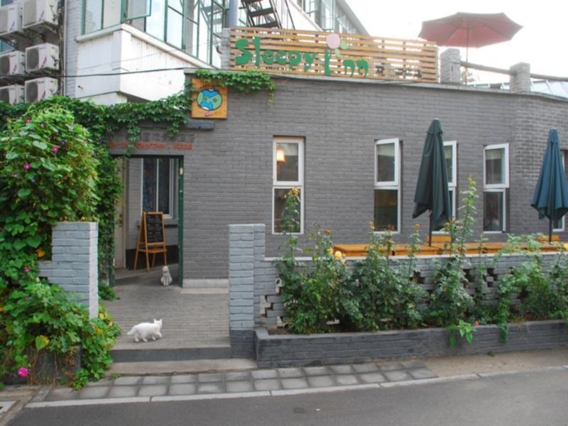 Sleepy Downtown Lakeside Hostel